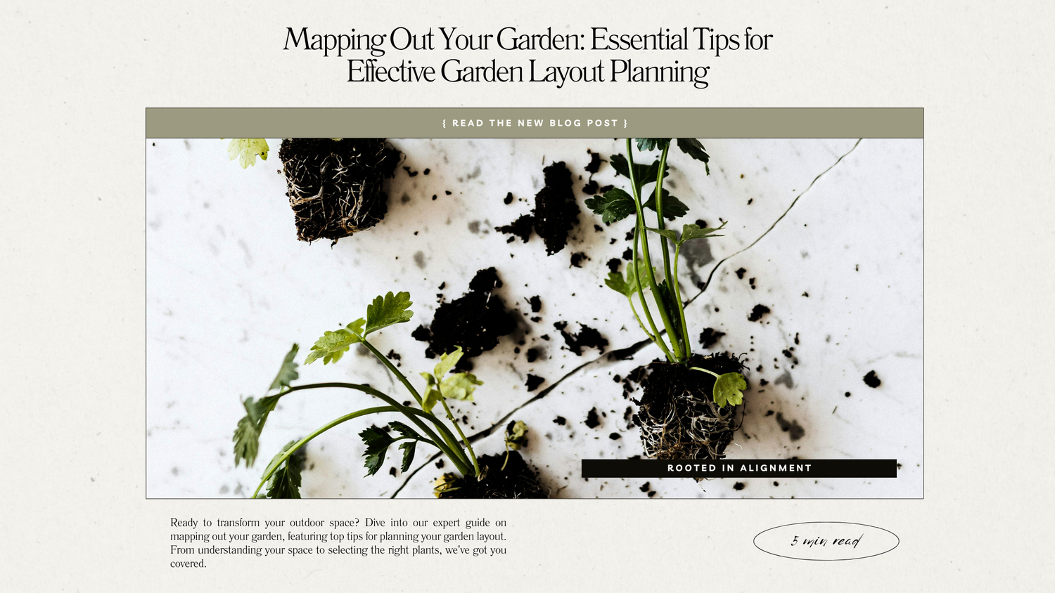 Mapping Out Your Garden: Essential Tips for Effective Garden Layout Pl ...