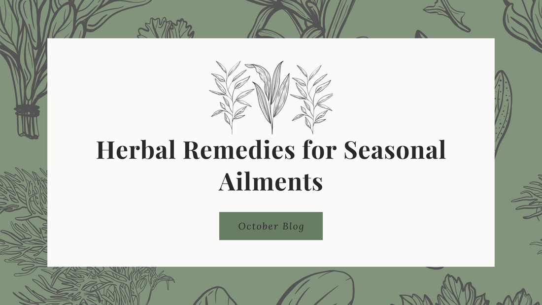 Herbal Remedies for Seasonal Ailments