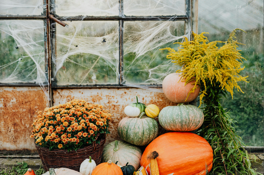 Fall Gardening Guide: Planting, Preserving, and Preparing Your Soil